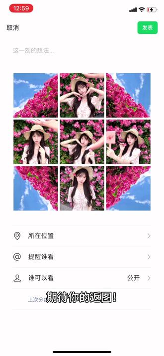 蔷薇花朋友圈九宫格拼图教程来了#醒图焚决的神 #醒门永存 #人类对醒图的开发不足百分之一 #朋友圈 #蔷薇花