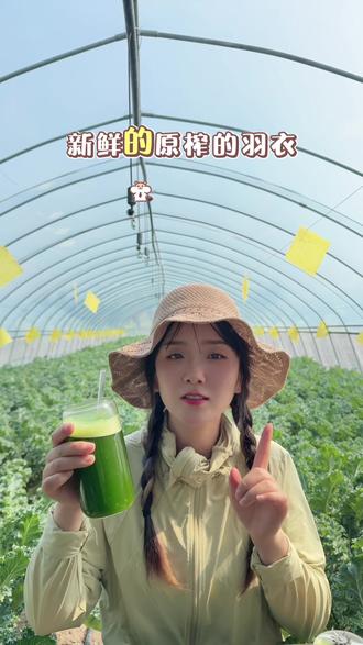 #羽衣甘蓝 #新鲜羽衣甘蓝 #果蔬汁