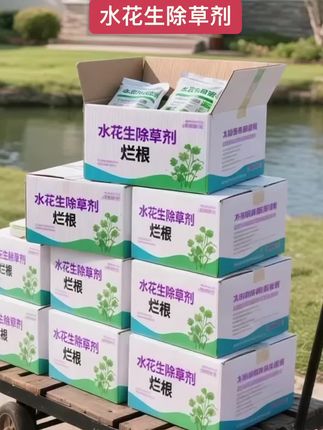水花生烂根专用配方。 种地的乡亲们看过来!这款水花生专用烂根除草剂,专门应对田间水花生困扰,让大家种地更轻松!它对水花生效果特别好,除草又快又干净,能做到草死根烂、不会再长,把您的地块弄得没杂草。用的是定向烂根配方,朝着杂草喷就可以,不用辛苦人工去拔;而且还有配套的升级方案,里面有有机质水溶肥,除杂草的时候还能给作物补充各种养分。大家快来试试,一起为好收成努力!#水花生专杀套餐 #水花生除草剂 #水花生烂根专杀 #水花生专用除草剂 #种植小技巧