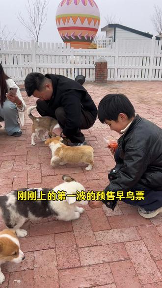 在黄岛的大海边新建了一个疯牛马牧场乐园刚上的第一步的早鸟票超划算 !#黄岛 #萌宠乐园 #疯马牛牧场乐园 #亲子游玩好去处 #动物园