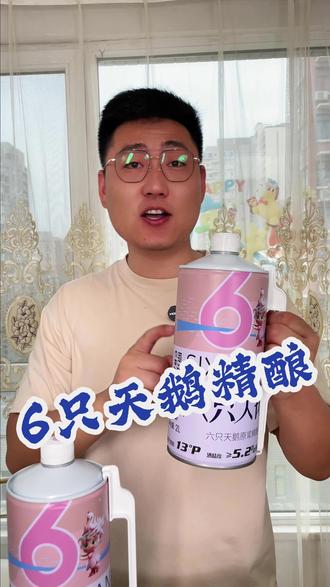 颜值高又好喝价格还实惠的啤酒承包了我整个夏天#六只天鹅精酿啤酒 #原浆精酿啤酒 #高性价比啤酒推荐