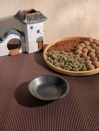 一定要抓住立秋后使劲用艾草敷肚脐!#立秋 #科普 #艾草