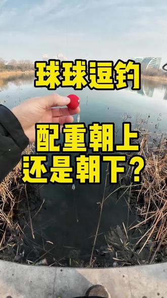 冬季路亚球球逗钓🔥单配重应该朝上还是朝下?#路亚 #路亚钓鱼技巧 #路亚野钓 #钓鱼 #球球逗钓