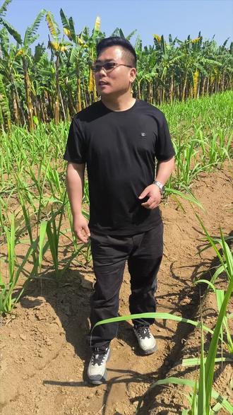 南沙甘蔗历史最低价
一元一条
有吃有玩 爱心助农
#甘蔗 #南沙甘蔗 #三农 ##三农种植