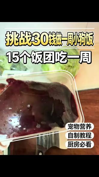 挑战30元钱做一周小狗口粮#宠物配餐 #宠物配餐日记 #手工宠物零食 #自制狗饭 #三文鱼边角料做法