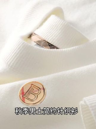 男士毛衣秋季轻奢保暖卫衣