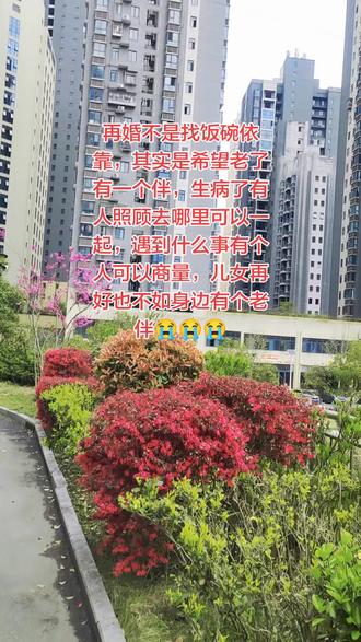 有没有合适的老伴,共度余生!#熟悉的城市