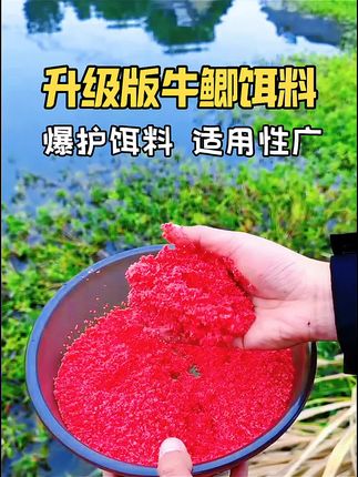 冬季钓鲫鱼不用愁,这小杯窝料来帮忙!只需一小杯,方圆几十米鲫鱼全跑来了,越钓越多超省心,不用频繁补窝,钓友看了都羡慕~用过的都说牛,冬天钓鱼就得靠它,赶紧安排上,让你的鱼获羡煞旁人! #窝料推荐 #钓鱼好物 #鲫鱼专用 #钓鱼饵料 #鲫鱼窝料