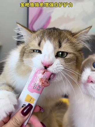 真是没想到这么划算就薅到这么好的猫条#金医卫 #猫条 #萌宠好物 #猫条测评 #养猫新手