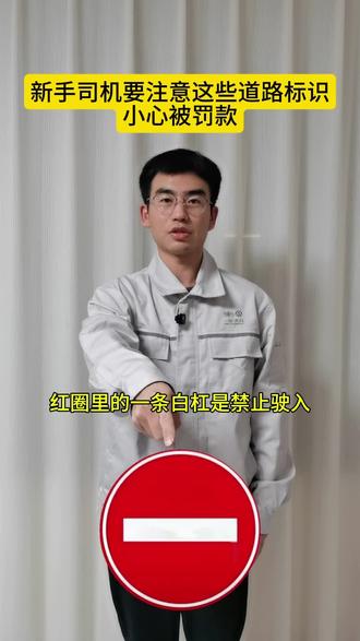 新手司机要注意这些道路标识,小心罚款#开车知识分享 #新手司机 #新手开车 #交通安全知识点 #每天分享科普知识