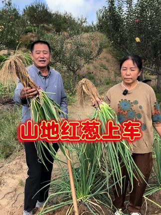 #我的乡村生活 #我的农村生活日常 #乡村味道