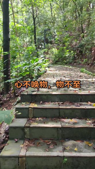 心不唤物,物不至/#一步一台阶一山一风景