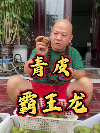 青皮霸王龙 尺寸可选#文玩爱好者 #文玩核桃 #青皮核桃 #霸王龙