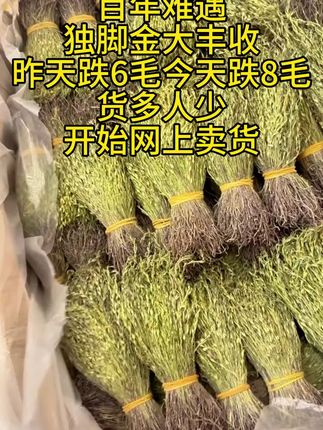 广西野生独脚金疳积草正宗独脚金草独脚金干货煲汤叶菜10g-100g