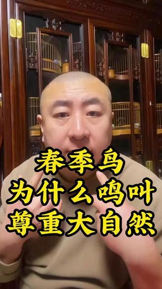 春季鸟为什么鸣叫尊重大自然 #长乐汇春季鸟食 #养鸟经验分享#上班族养鸟#退休老人养鸟