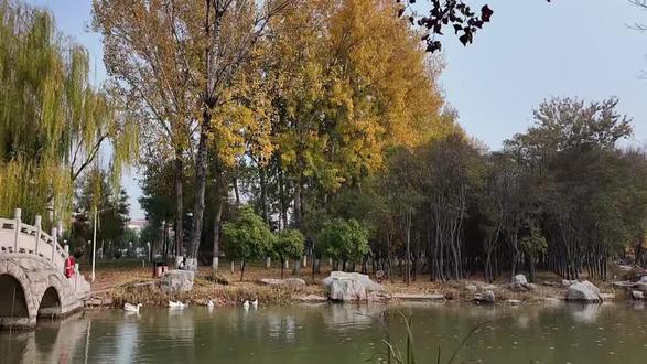 《热爱生命》汪国真
#朗诵 #热爱生命汪国真