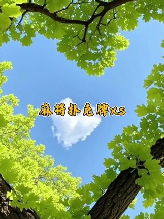 出门携带或在家玩都很方便,不挑地方,随时可以玩起来