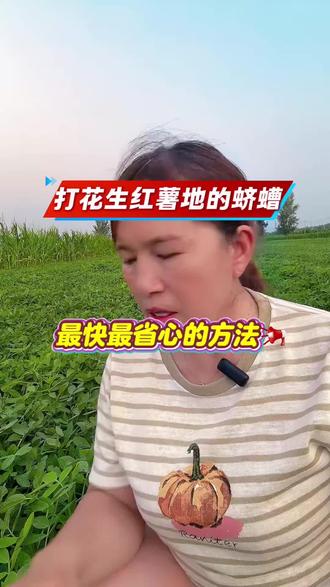 防治花生地,红薯地地上地下害虫专用套,喷一喷,地上地下害虫都搞定!#花生种植#红薯种植#地下害虫防治 #心系三农服务三农