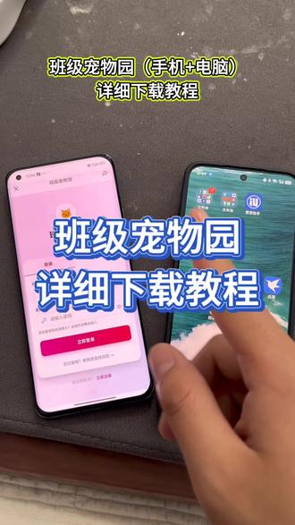 《道一分享》班级宠物园下载教程#班级宠物园 #班级宠物园下载教程 #班级宠物app #电子宠物