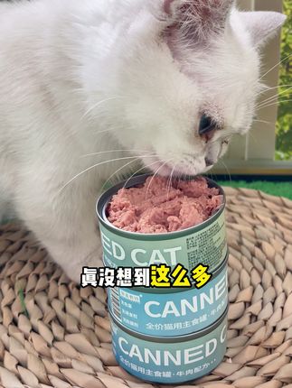 大猫小猫都能吃的全价主食罐,慕斯质地的肉泥,营养美味吃的过瘾#猫罐头 #萌宠好物 #快赶紧拿给猫猫吃吧