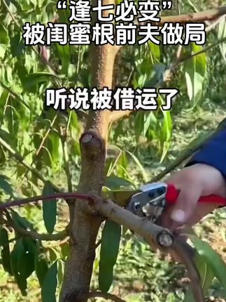 老辈的传承#桃木枝#寓意好物 #国学文化 #防人之心不可无害人之心不可有 #一桃压百木