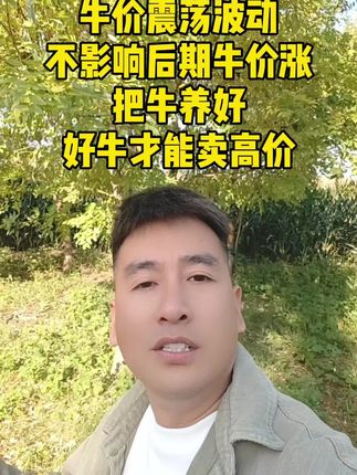 #肉牛养殖 #繁殖母牛 #小牛犊 #育肥牛 #养牛人