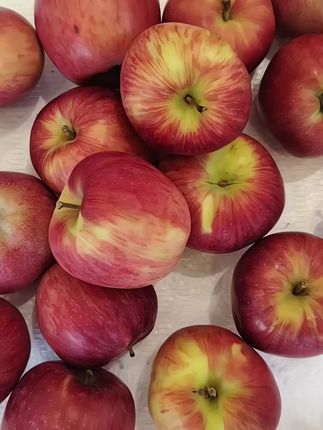 #新鲜应季水果  随手买的糖心丑苹果,真的好好吃!你们快去吃这个丑苹果!随手买的,打开就一股浓浓的苹果味呢!丑是丑了点咯,但是好脆甜啊!家里老人小孩都喜欢吃!快快快,安利给你的小姐妹们!快囤它叭!#优质农产品 #强烈推荐 #苹果