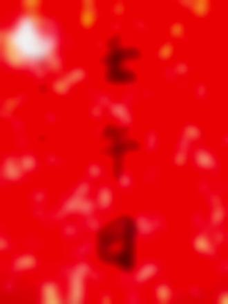 壬午日,上等日柱,为花红柳绿日;正所谓:禄马相邀入帝乡,花红柳绿掩高堂。出阕最喜函玉关,千里迢迢雁北上。壬午日人运程比较平稳,少见大起大落的情况,人生算是比较顺遂。壬水自坐午火财星胎位。午火本气为财,暗藏正官,财官星在午见禄位极旺。壬水在午火温度高,虽然忙碌,但壬水的财星为午火,忙碌却有所成,一分耕耘、一分收获。一生衣食无虞,名利双收,很有福气。此日主无论男女和属虎、属狗的人容易自然亲近并建立友谊。和属蛇、属羊的人也合得来。此日主逢子的大运流年会有突发事故。身体容易出现抵抗力低下,畏寒,小便白浊,高血压或低血压等。当午火受伤时就易得心脏方面疾病,还需注意房屋漏水和脚伤烫伤。此日主男命一生中能得贵人提拔走向成功。从事艺术、技术能名利双收。容易和大眼睛的女子恋爱结婚。妻子性格温柔,夫妻情深。此日主女命虽有可能出生于好家庭,但自身却容易遭遇多病或辛劳,除自己怀才不遇外,与兄弟姐妹缘分也不深,甚至母亲也容易孤独或有残疾在身。任何命局都需要结合本命局的喜忌、宫位、十神及与其他干支的相互关系来看,不能一概而论。#壬水#午火#壬午#壬午日#日柱