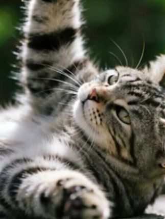 印像家夏季休闲穿搭慵懒简约风一字领露肩白色韩版薄款短袖t恤女#今天穿什么 #气质女神 #气质这一块拿捏的死死的 #强烈推荐