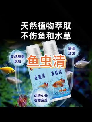 #养鱼经验分享 #观赏鱼#水族
