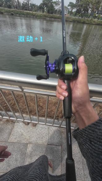 科美龙300金属框架DC来了兄弟们