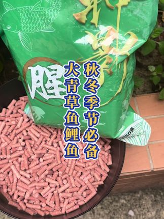 秋冬大物颗粒神影腥颗粒 秋冬气温低水温低钓青草鲤鱼必备颗粒饵料 #神影窝料 #秋冬必备 #钓青鱼