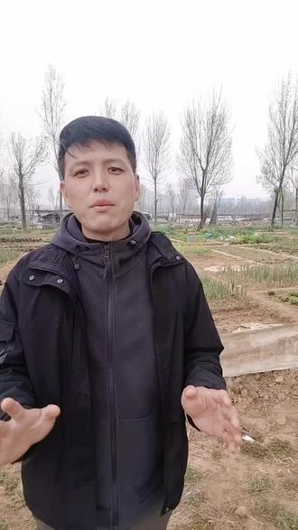 适合老手 新手 种的菜,好吃营养价值还高#蔬菜种植#蔬菜种子#蔬菜种植分享