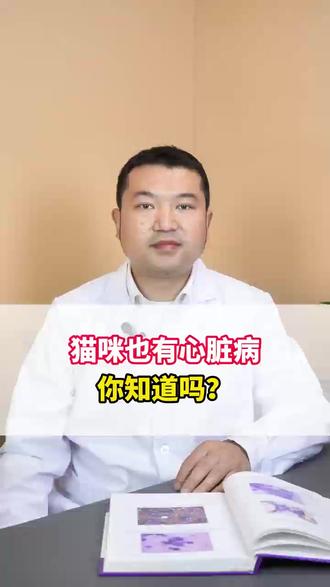 猫咪也有心脏病你知道吗? #心脏病 #宠物医生#新手养猫#猫咪科普#宠物健康