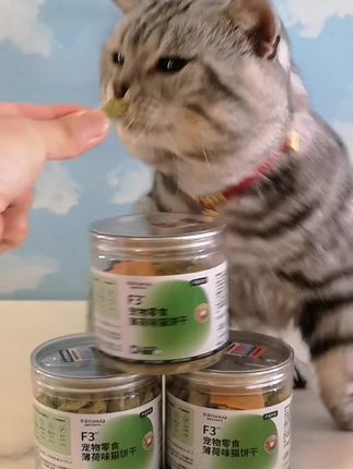 #猫薄荷饼干推荐#萌宠推荐官 #养猫必备