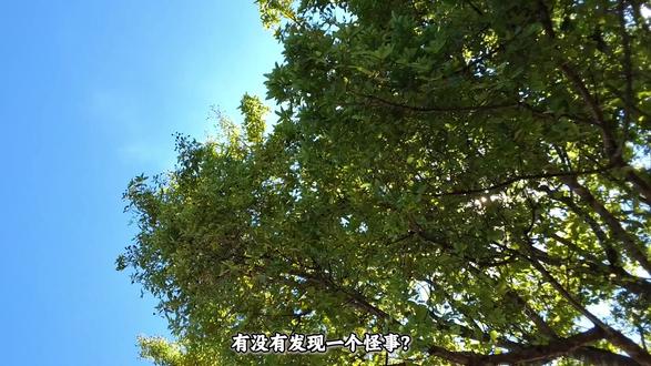 为什么一到夏天,就总爱打雷下雨? #科普一下 #动画科普 #雷雨天气 #气象科普 #抖音创作者激励计划