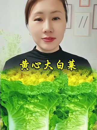 #蔬菜种子#黄心大白菜种子 #黄心大白菜#蔬菜种植 #优质农产品