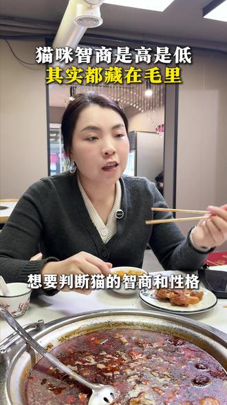 你家的猫是聪明还是傻,看这三个地方就够了 #宠物知识 #科学养猫 #养猫经验分享 #新手养猫 #知识前沿派对