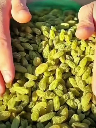 新疆葡萄干,酸甜好吃#葡萄干