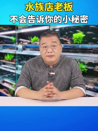 别再傻着换过滤、买花里胡哨的贵药了!就算把刀架在水族店老板的脖子上,他都不会告诉你,庆大霉素才是鱼缸里的“扫地僧”#分享养鱼经验 #观赏鱼 #新手养鱼