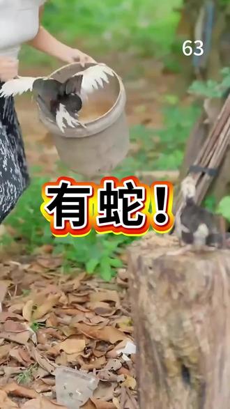 这个东西很好用#驱蛇#防蛇#蛇#户外#钓鱼