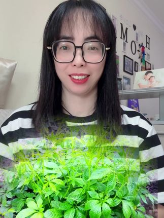 #闽南语#福建#漳州#每日分享