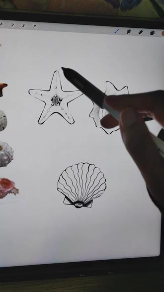 #手绘 #绘画教程 #零基础学画画 简单可爱的贝壳