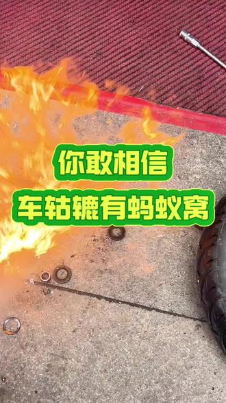 难怪这个车主发展这么好,蚂蚁都跑他车上去了! #贵阳森动 #贵阳电动车 #贵阳电动车维修 #贵阳同城实体店 #行业冷知识科普