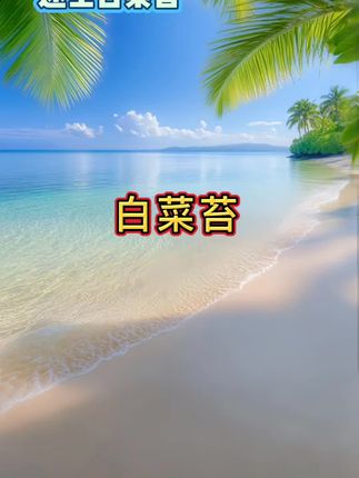 四季可种速生白菜台,适应性强,好种植,口感鲜嫩,清甜爽口!#白菜苔 #蔬菜种子 #无限回购的宝藏单品 #在抖音入手的好东西 #抖音有好家