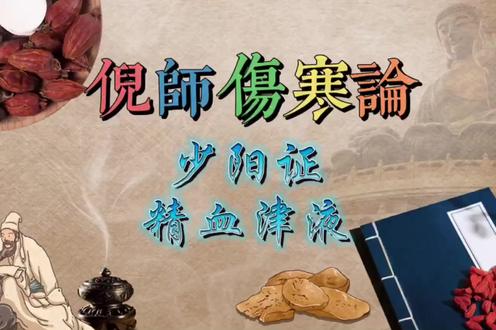 倪师伤寒论系列--少阳证_精血津液