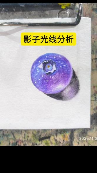 蓝莓影子光线分析#素描#彩铅手绘