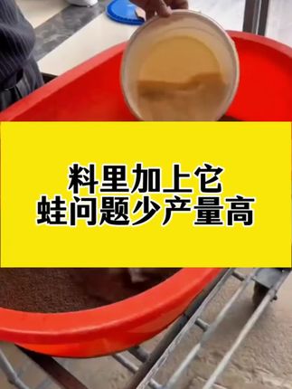 料里加上它,蛙问题少产量高#牛蛙养殖#黑斑蛙#泰蛙#石蛙#蟾蜍
