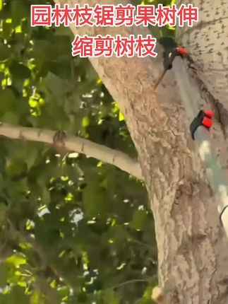 高枝锯高空锯修枝园林枝锯剪果树伸缩剪树枝#高空伸缩锯#园林工具