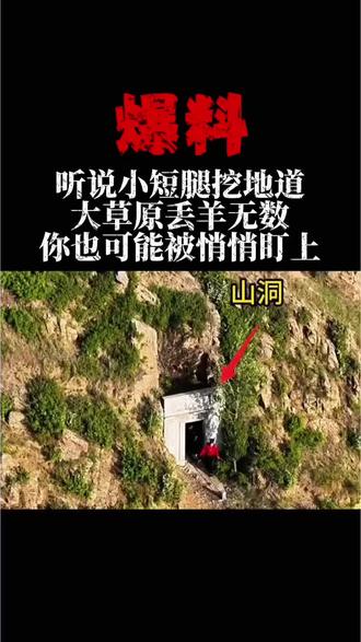 挖地道内幕被曝光#小说#网文#抗日小说
#网文推书